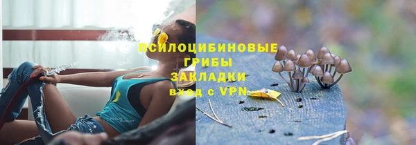 хмурый Абинск