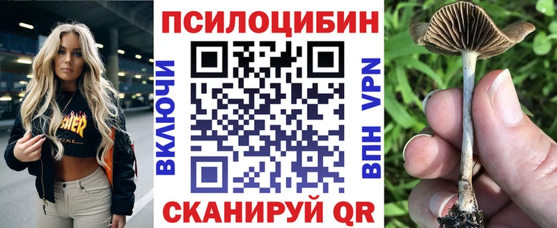 даркнет сайт  OMG сайт  Галлюциногенные грибы Magic Shrooms  Невельск 